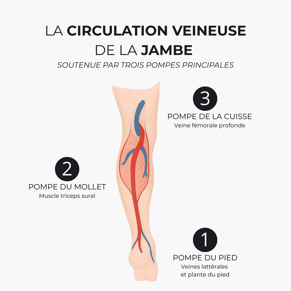Bottes de pressothérapie, drainage et massage à domicile